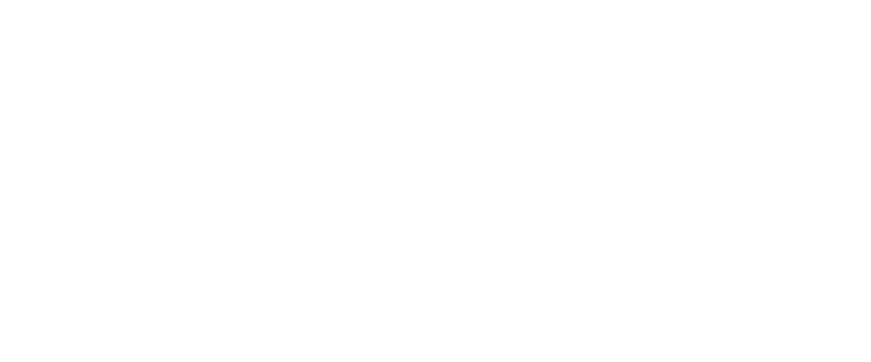 nah_logo3.png